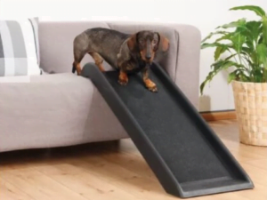 Single Plastic Dog Ramp