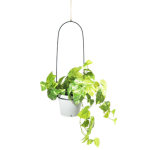 Bucket Hanging Planter