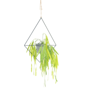 Diamond Hanging Planter