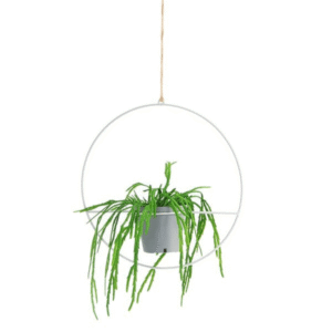 Ring Hanging Planter