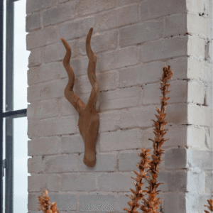 Curved Horn Kudu Head Wood Lifestyle Natural