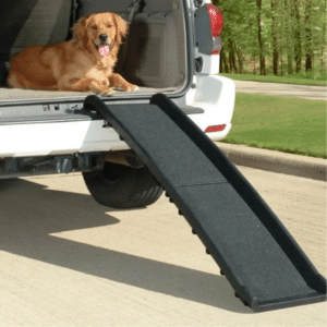 Folded Plastic Pet Ramp Lifestyle