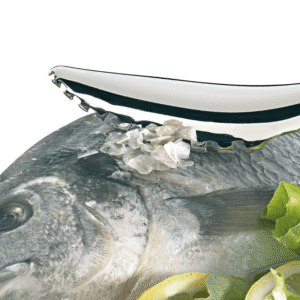 Fish & Seafood Tools Main