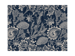 Lamberts Bay Placemats 6PC Set Main