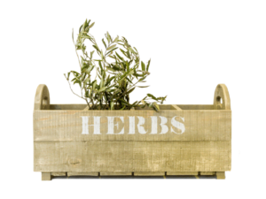 Herb Planter Box