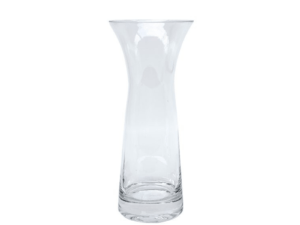 Transparent Curved Vase