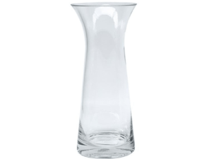 Transparent Curved Vase LRG